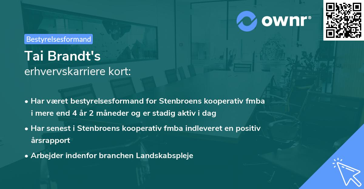 Tai Brandt's erhvervskarriere kort