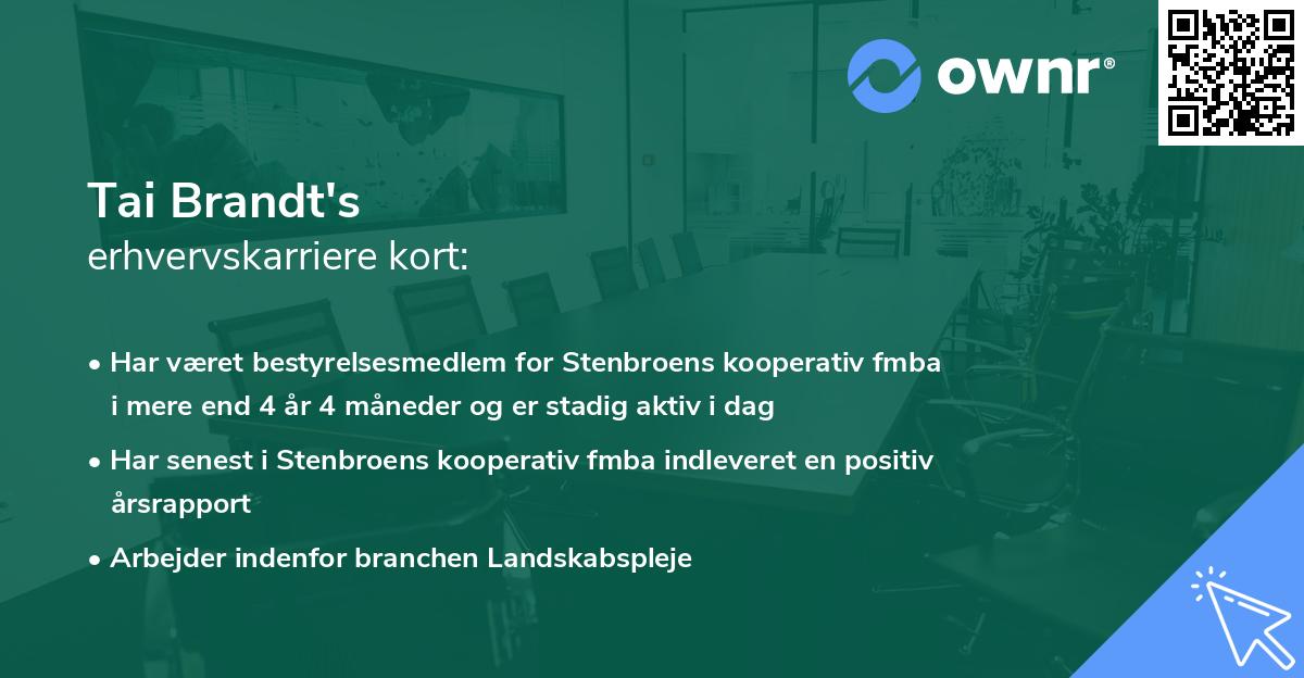 Tai Brandt's erhvervskarriere kort
