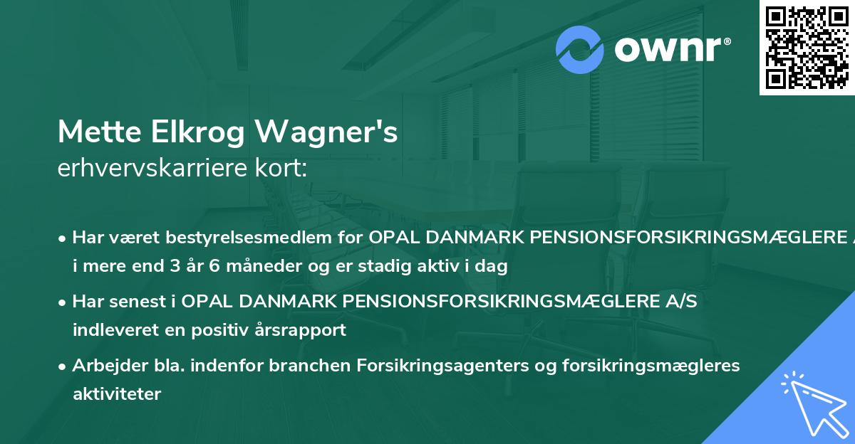 Mette Elkrog Wagner's erhvervskarriere kort