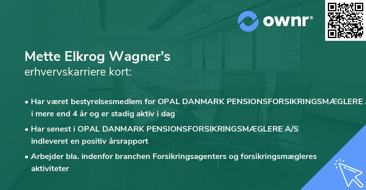 Mette Elkrog Wagner's erhvervskarriere kort