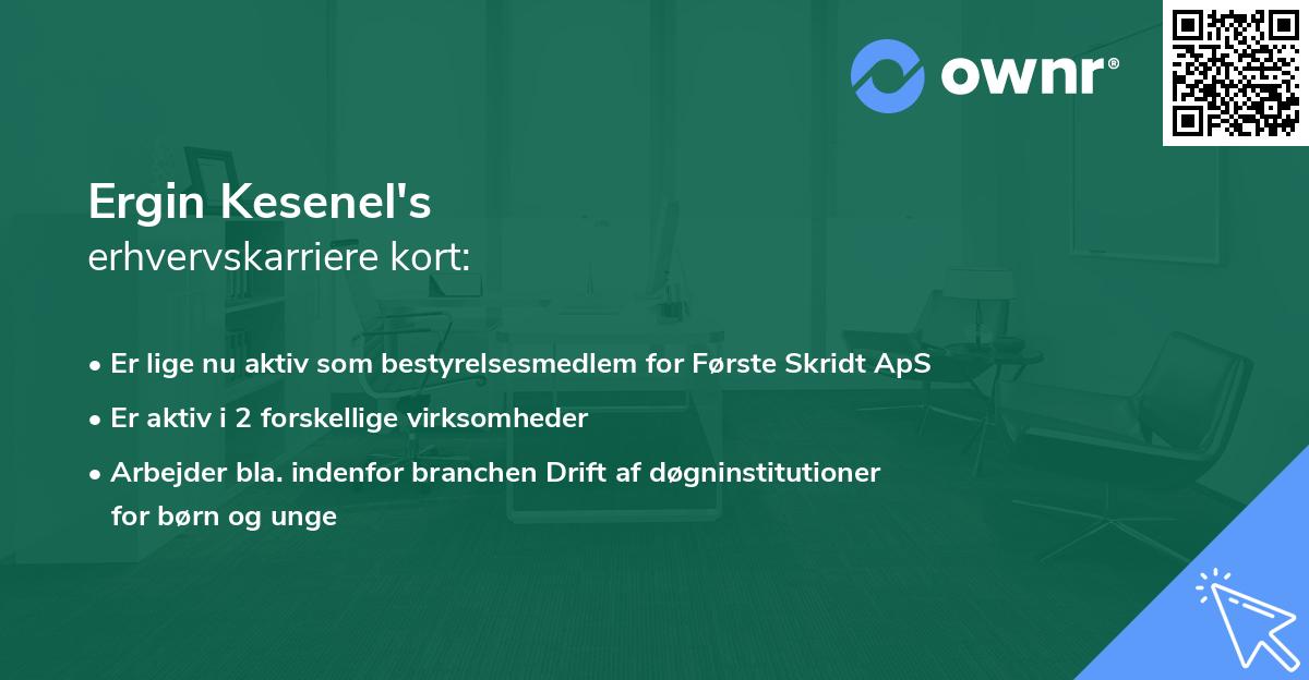 Ergin Kesenel's erhvervskarriere kort