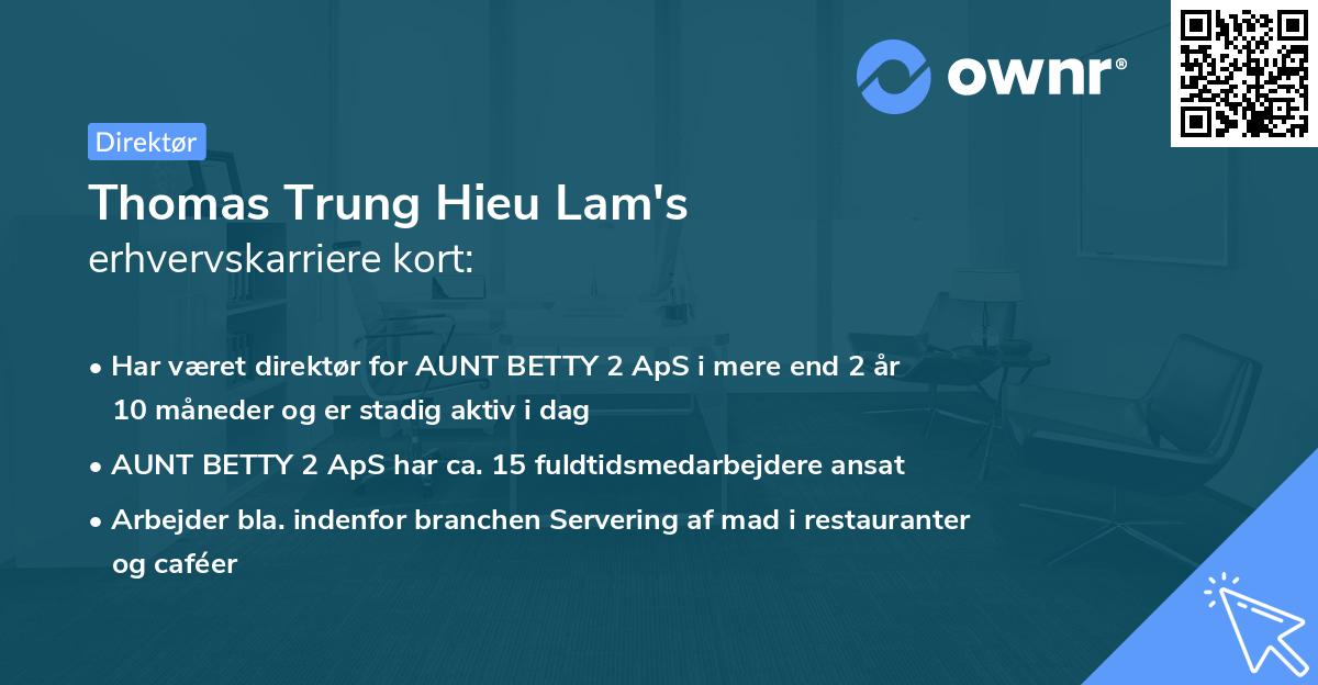 Thomas Trung Hieu Lam's erhvervskarriere kort