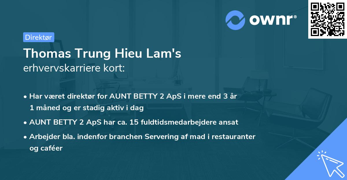 Thomas Trung Hieu Lam's erhvervskarriere kort