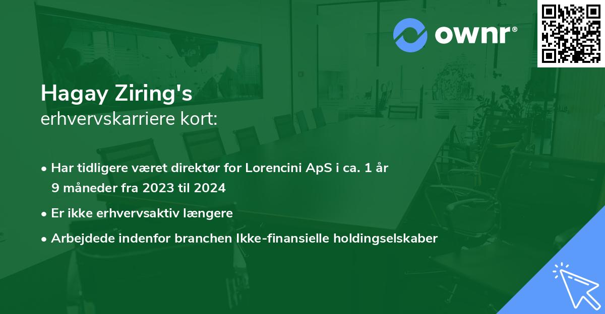 Hagay Ziring's erhvervskarriere kort