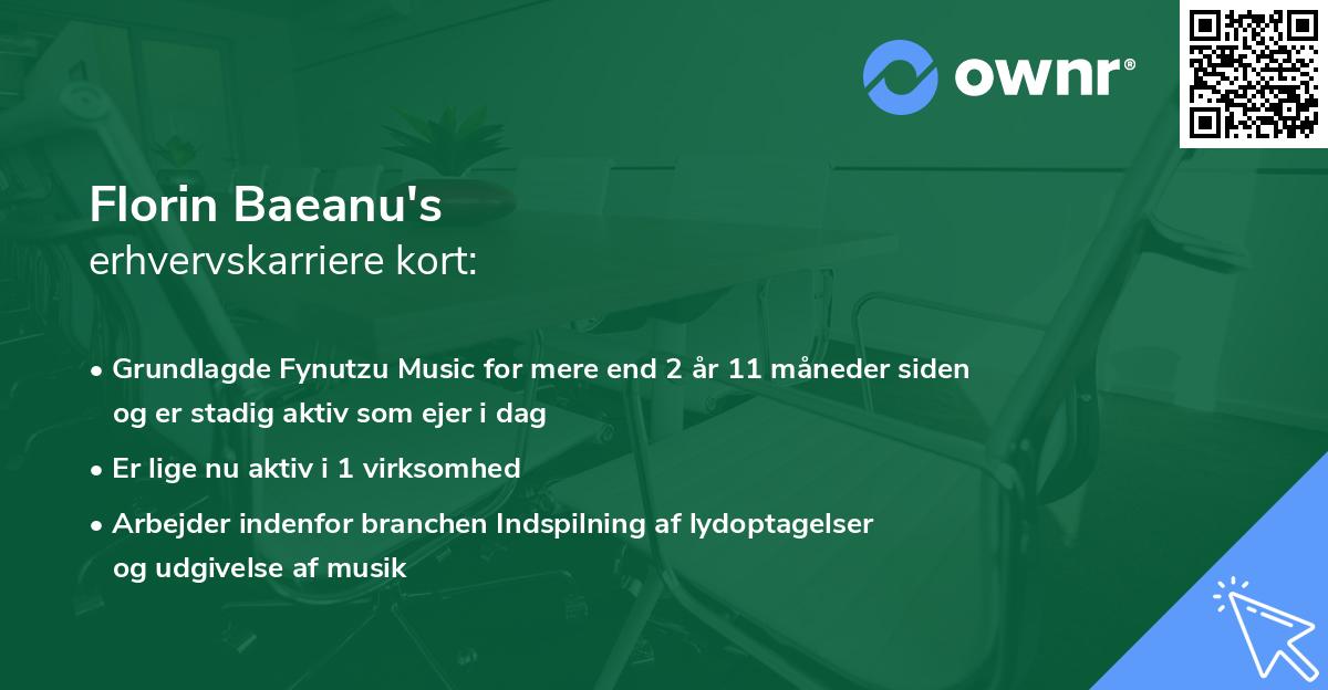 Florin Baeanu's erhvervskarriere kort