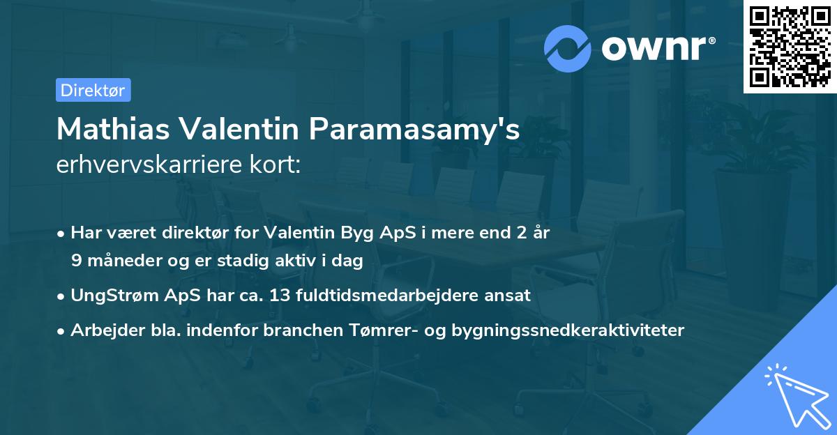Mathias Valentin Paramasamy's erhvervskarriere kort