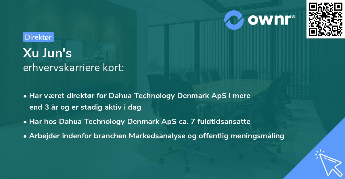 Xu Jun's erhvervskarriere kort