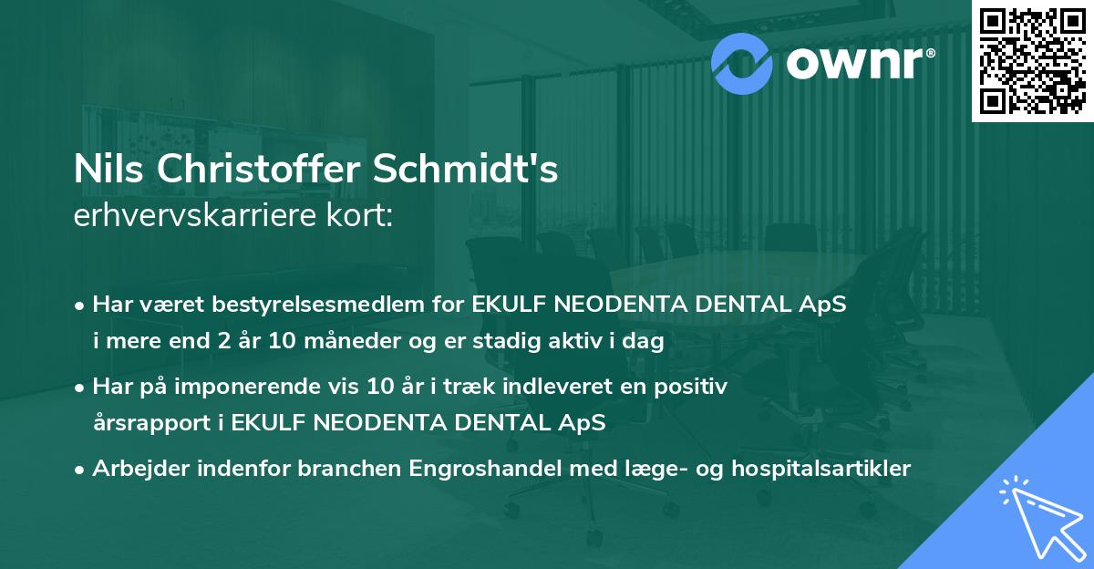 Nils Christoffer Schmidt's erhvervskarriere kort