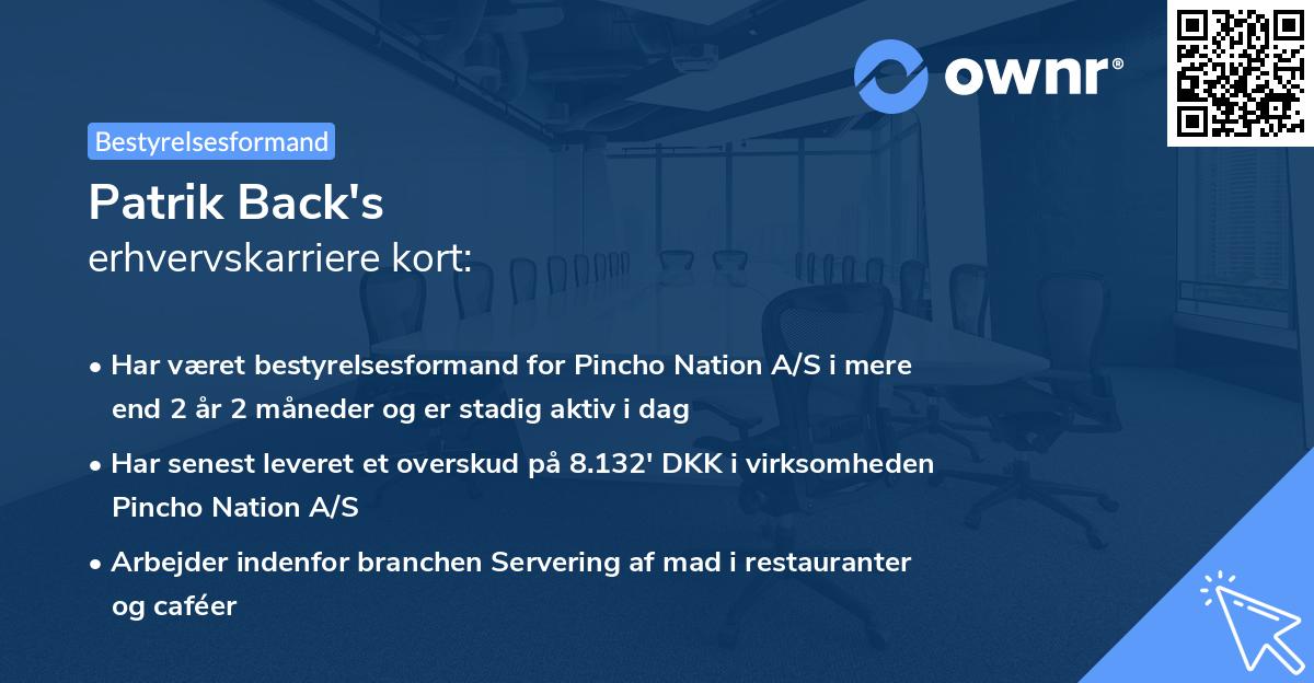 Patrik Back's erhvervskarriere kort