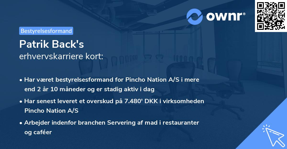 Patrik Back's erhvervskarriere kort