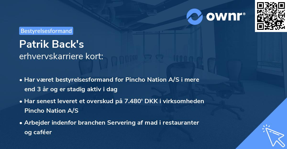 Patrik Back's erhvervskarriere kort