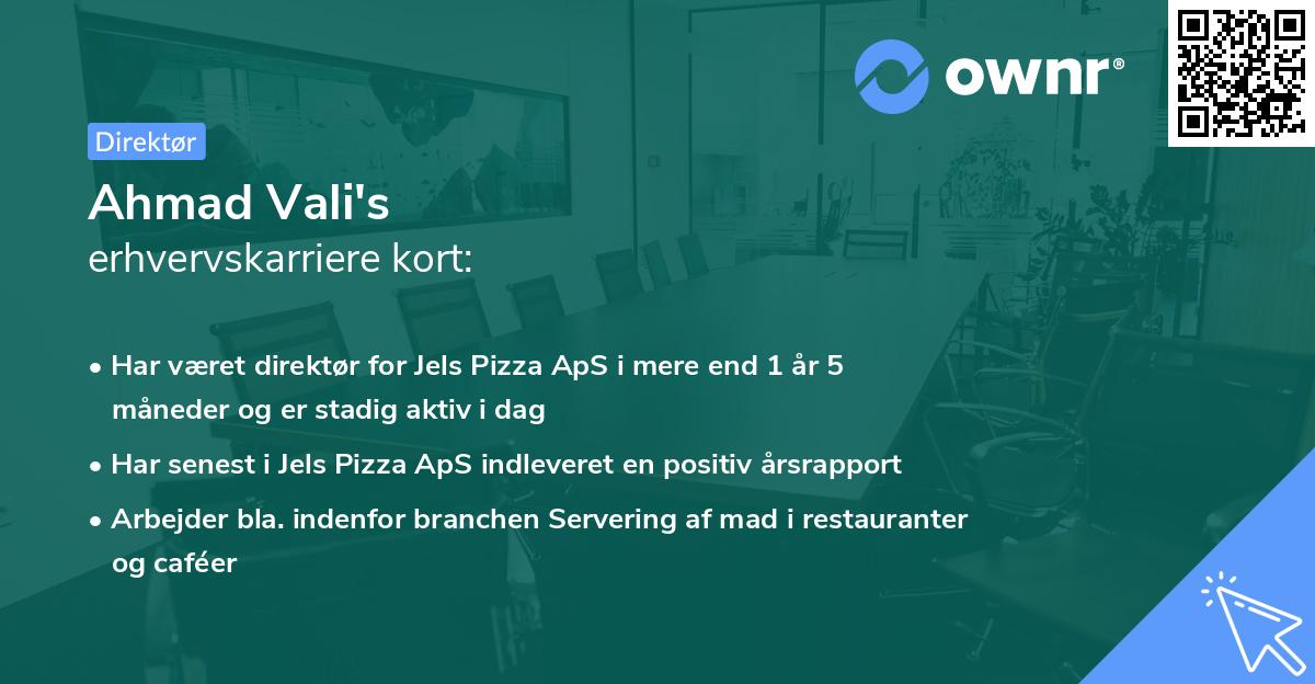 Ahmad Vali's erhvervskarriere kort