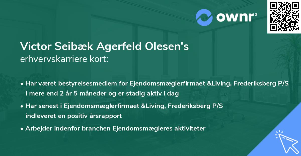 Victor Seibæk Agerfeld Olesen's erhvervskarriere kort