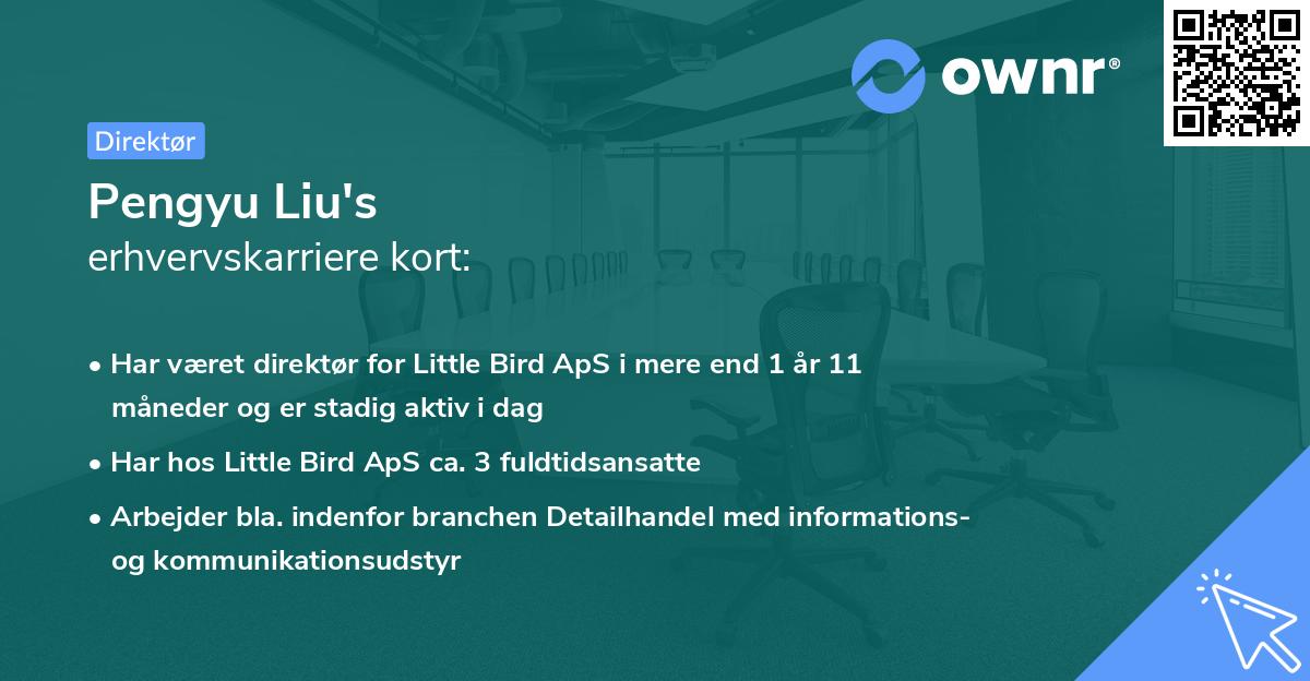 Pengyu Liu's erhvervskarriere kort