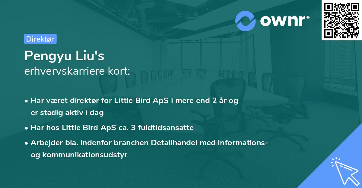 Pengyu Liu's erhvervskarriere kort