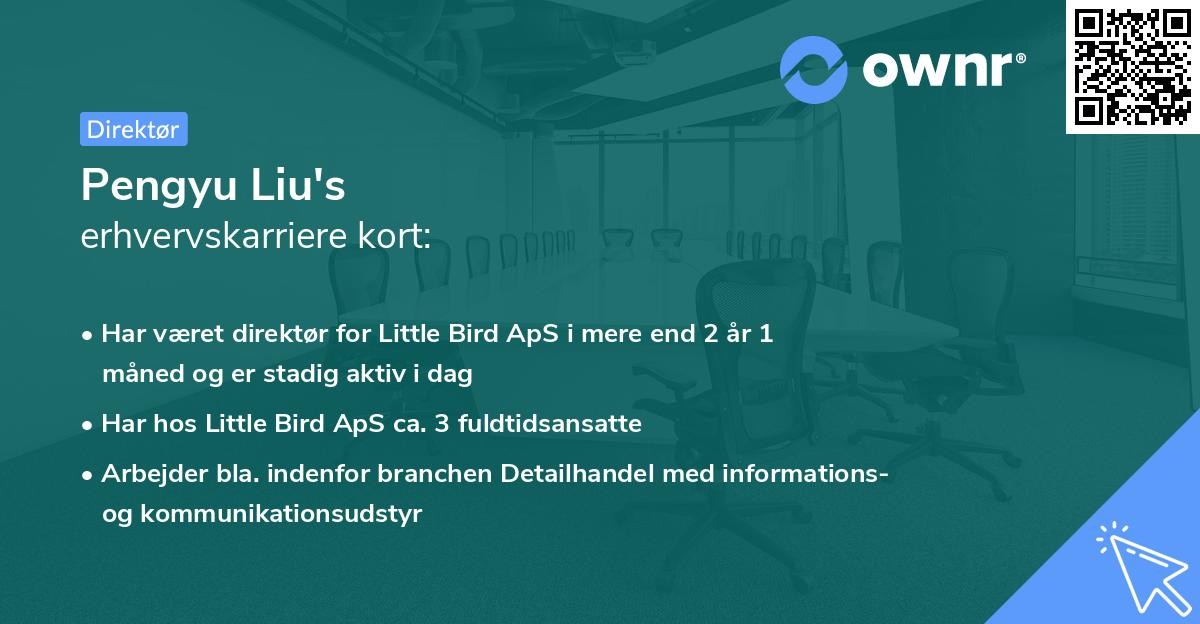 Pengyu Liu's erhvervskarriere kort