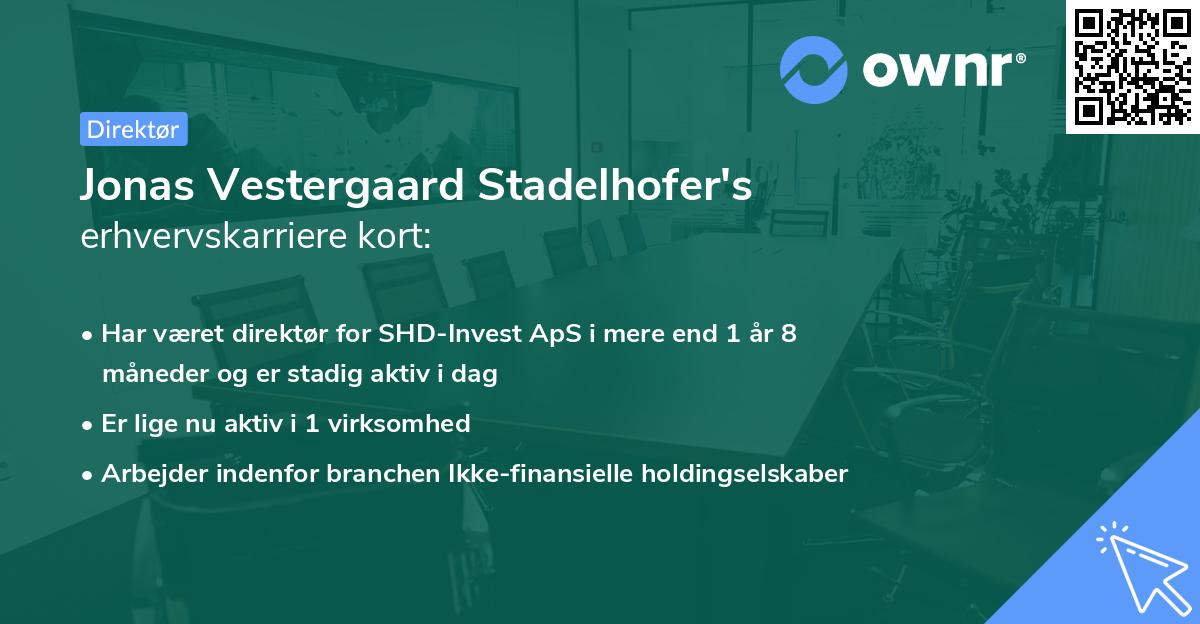 Jonas Vestergaard Stadelhofer's erhvervskarriere kort
