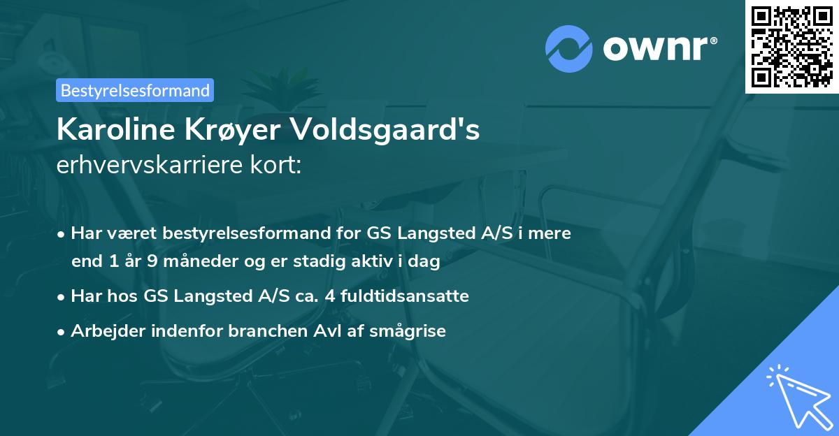 Karoline Krøyer Voldsgaard's erhvervskarriere kort