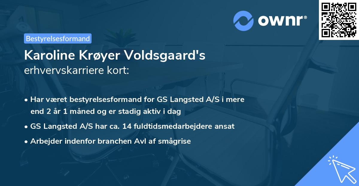 Karoline Krøyer Voldsgaard's erhvervskarriere kort
