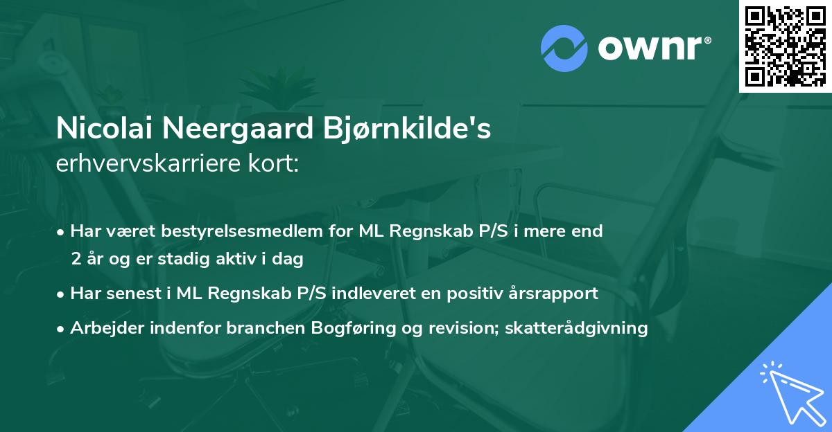 Nicolai Neergaard Bjørnkilde's erhvervskarriere kort