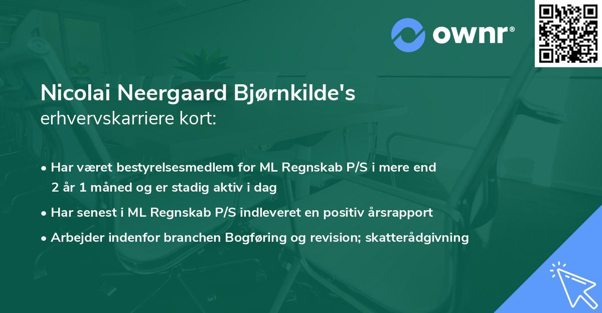 Nicolai Neergaard Bjørnkilde's erhvervskarriere kort