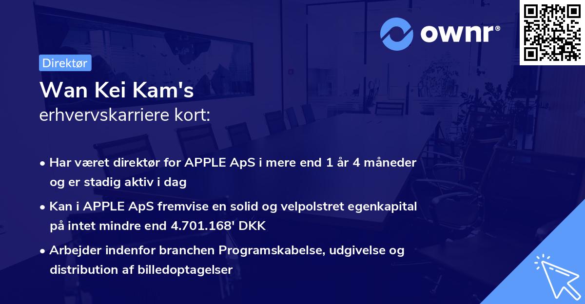 Wan Kei Kam's erhvervskarriere kort