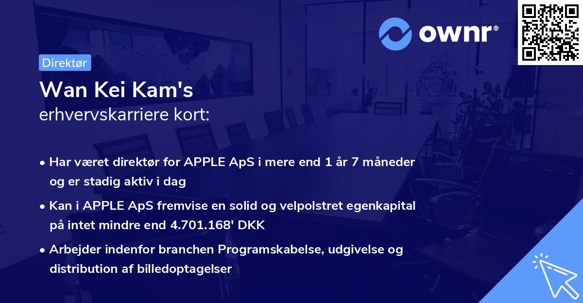 Wan Kei Kam's erhvervskarriere kort
