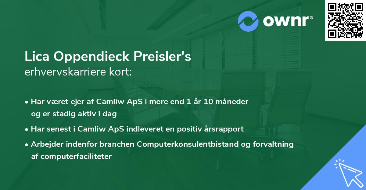 Lica Oppendieck Preisler's erhvervskarriere kort