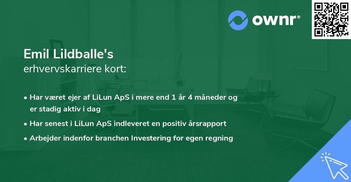 Emil Lildballe's erhvervskarriere kort