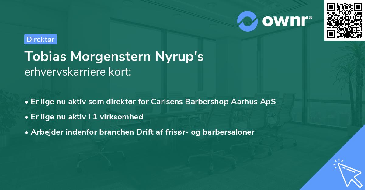 Tobias Morgenstern Nyrup's erhvervskarriere kort