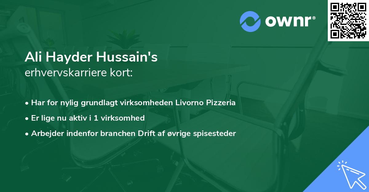 Ali Hayder Hussain's erhvervskarriere kort