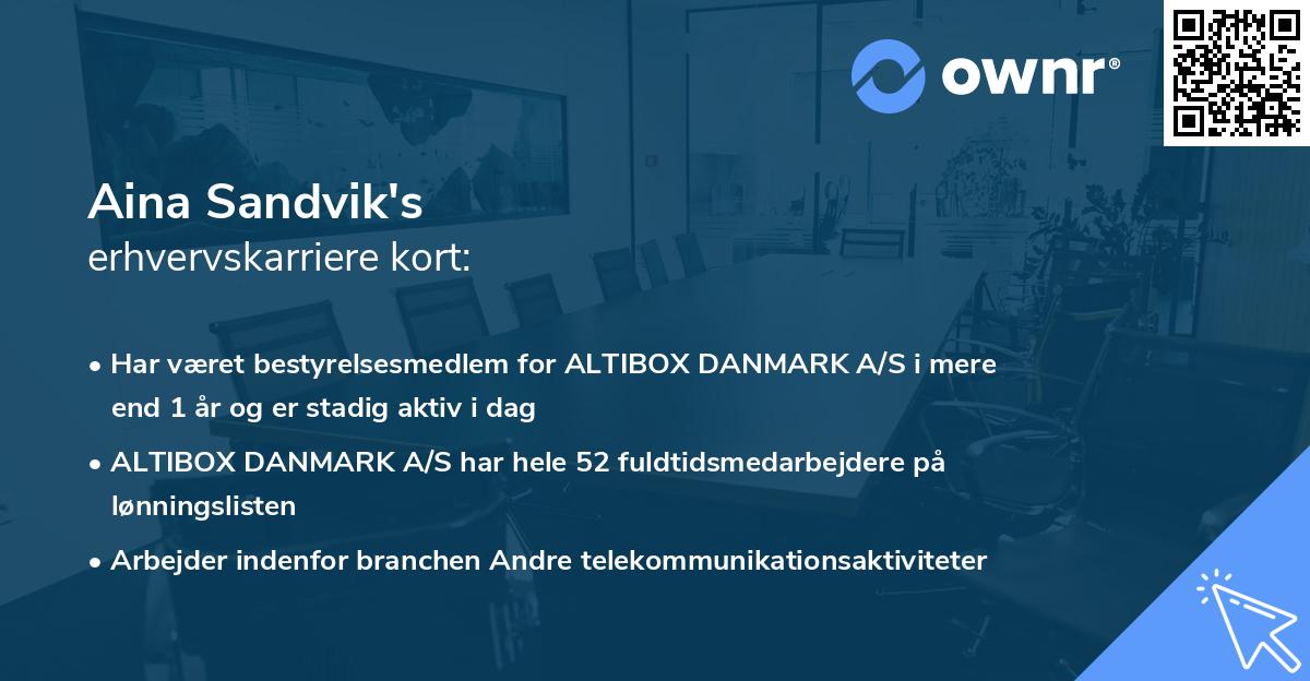 Aina Sandvik's erhvervskarriere kort