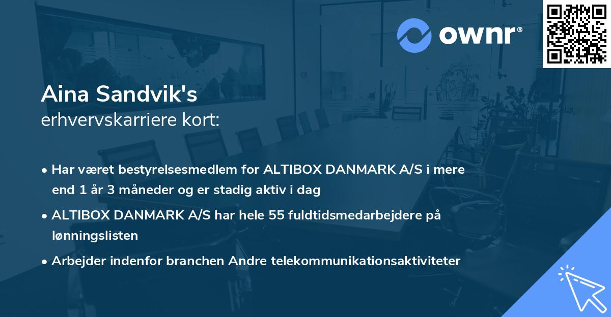 Aina Sandvik's erhvervskarriere kort