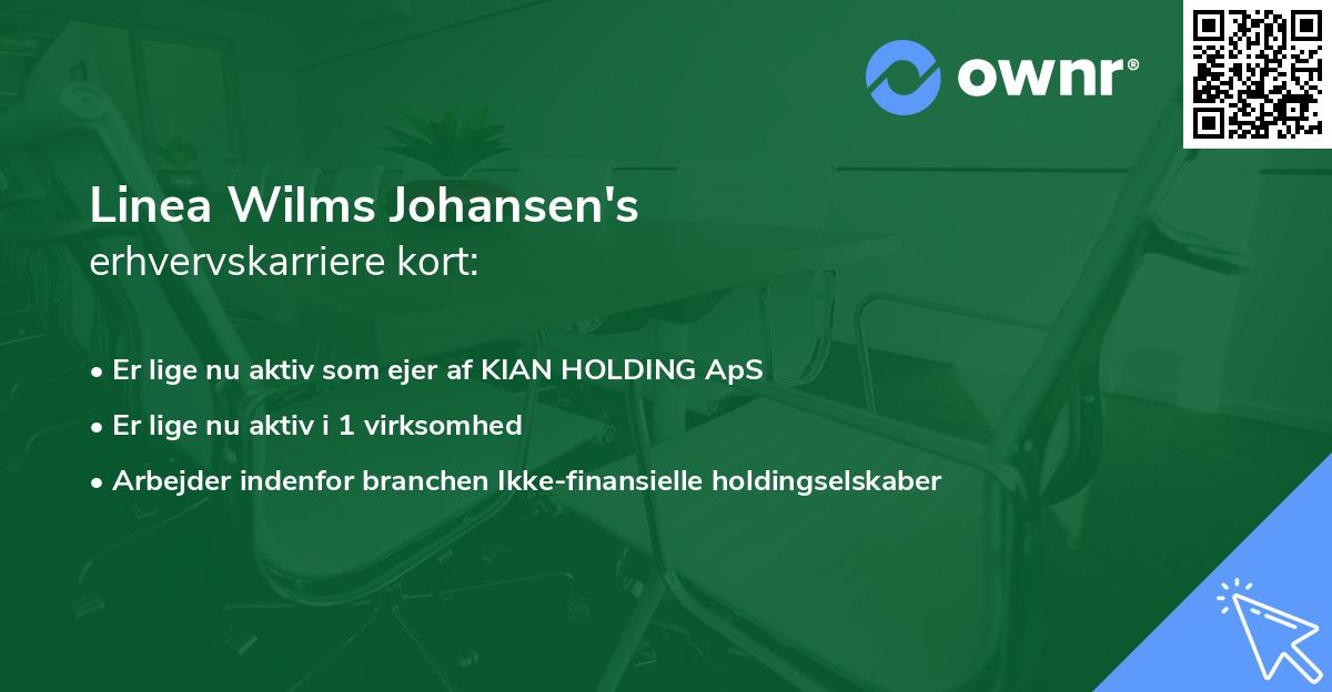 Linea Wilms Johansen's erhvervskarriere kort