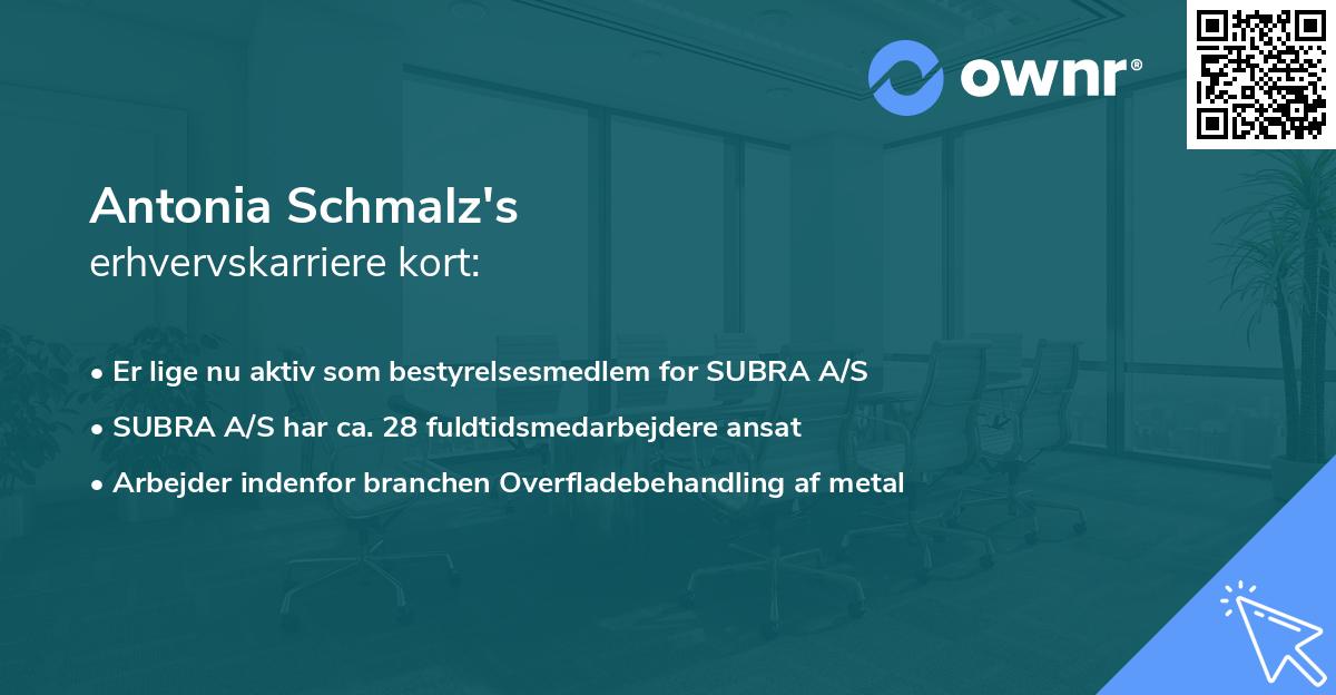 Antonia Schmalz's erhvervskarriere kort