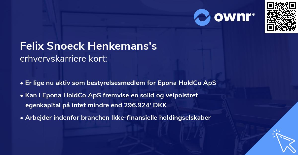 Felix Snoeck Henkemans's erhvervskarriere kort