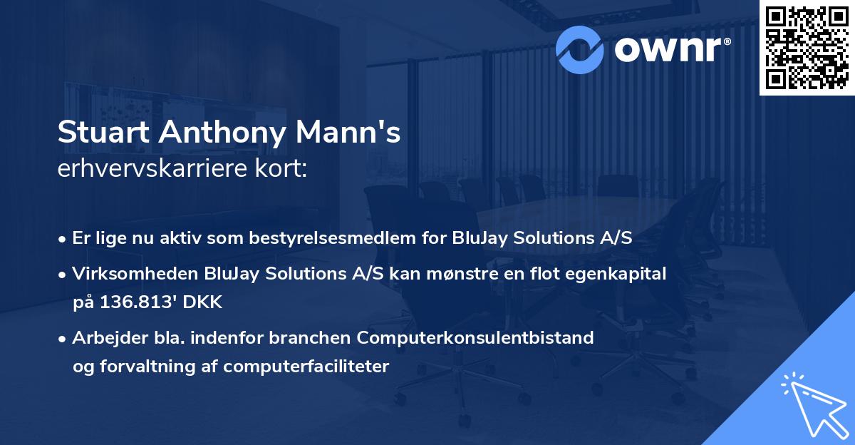 Stuart Anthony Mann's erhvervskarriere kort