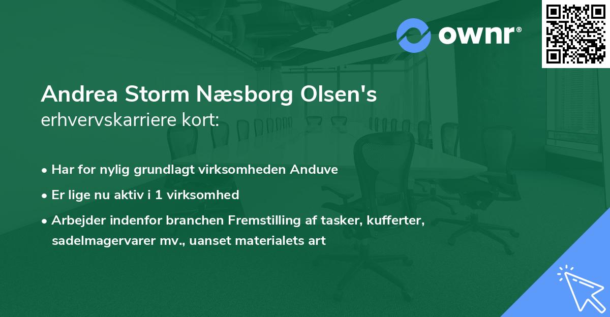 Andrea Storm Næsborg Olsen's erhvervskarriere kort