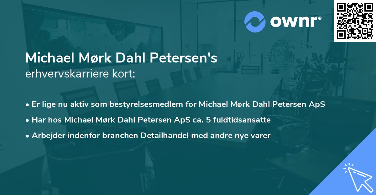 Michael Mørk Dahl Petersen's erhvervskarriere kort