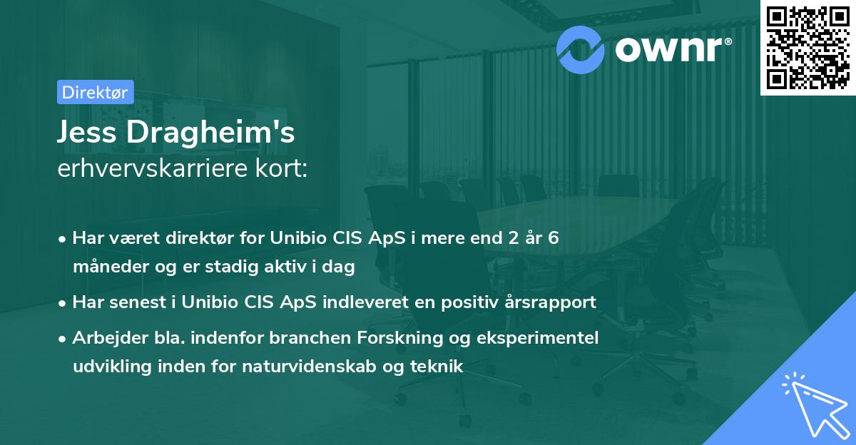 Jess Dragheim's erhvervskarriere kort