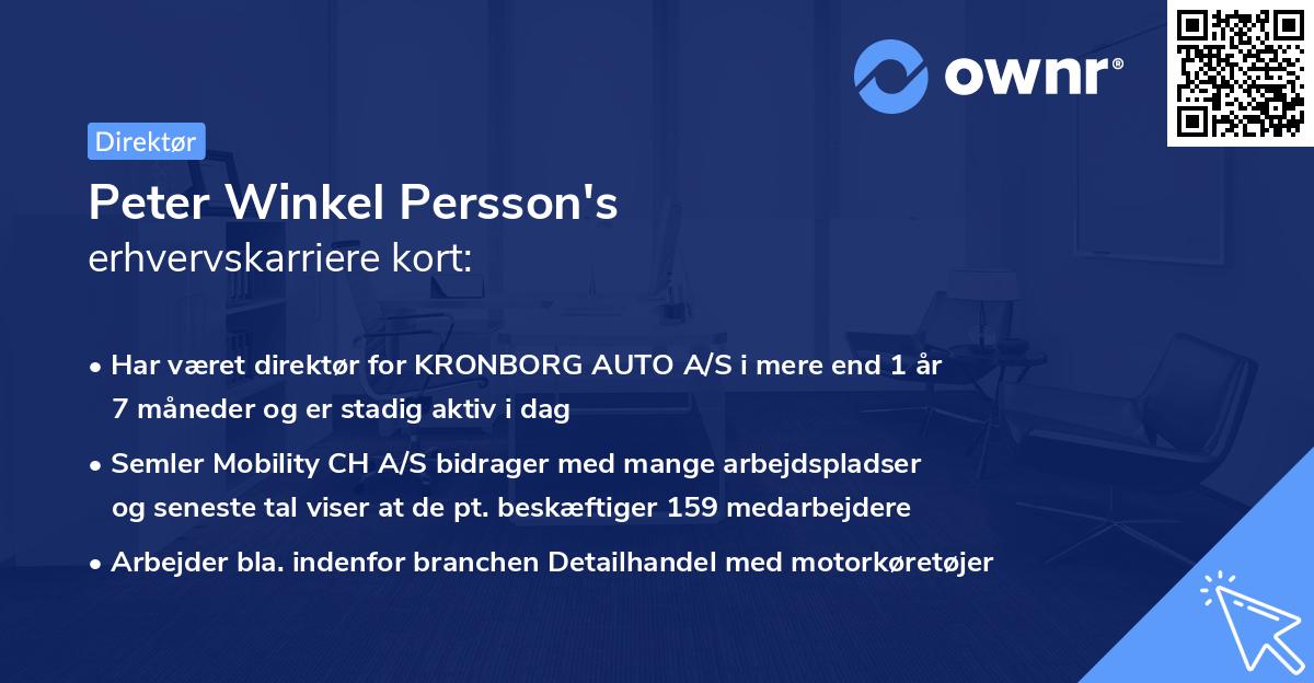 Peter Winkel Persson's erhvervskarriere kort