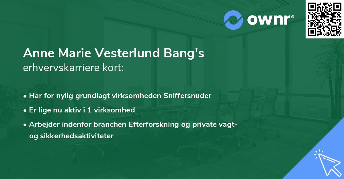 Anne Marie Vesterlund Bang's erhvervskarriere kort