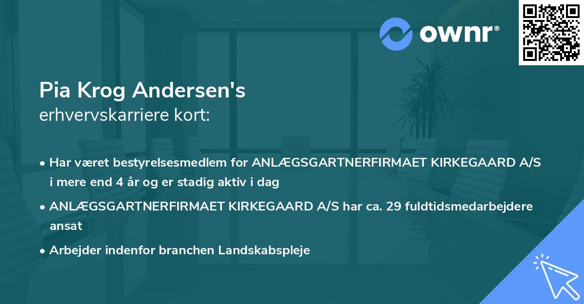 Pia Krog Andersen's erhvervskarriere kort