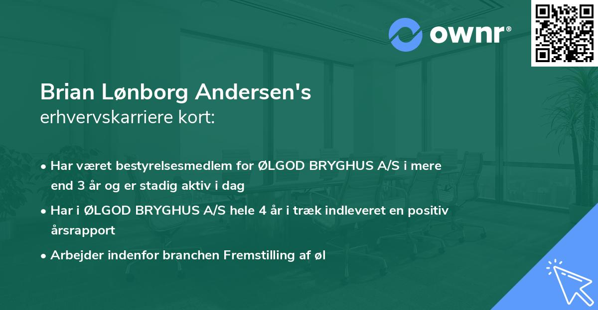 Brian Lønborg Andersen's erhvervskarriere kort