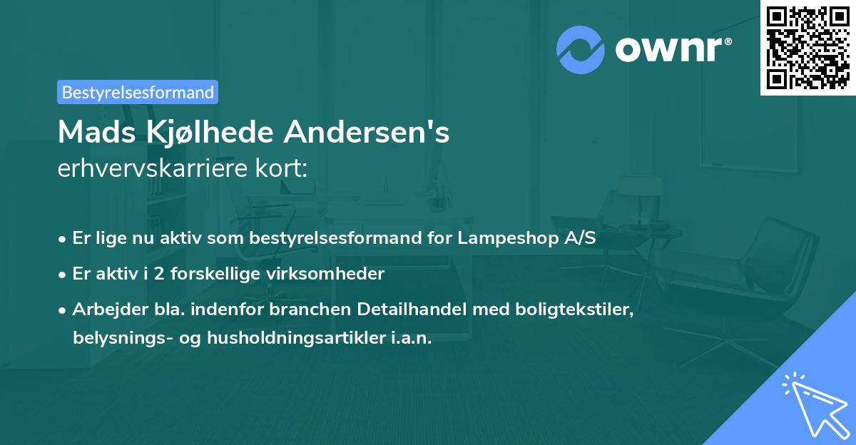 Mads Kjølhede Andersen's erhvervskarriere kort