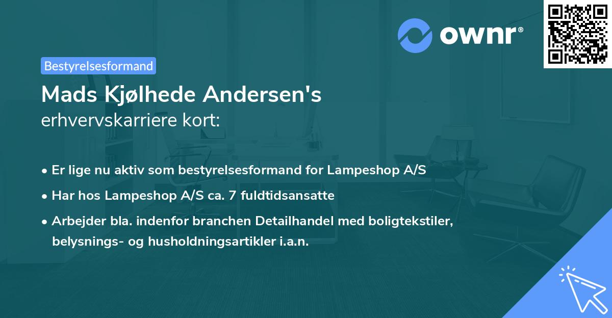 Mads Kjølhede Andersen's erhvervskarriere kort