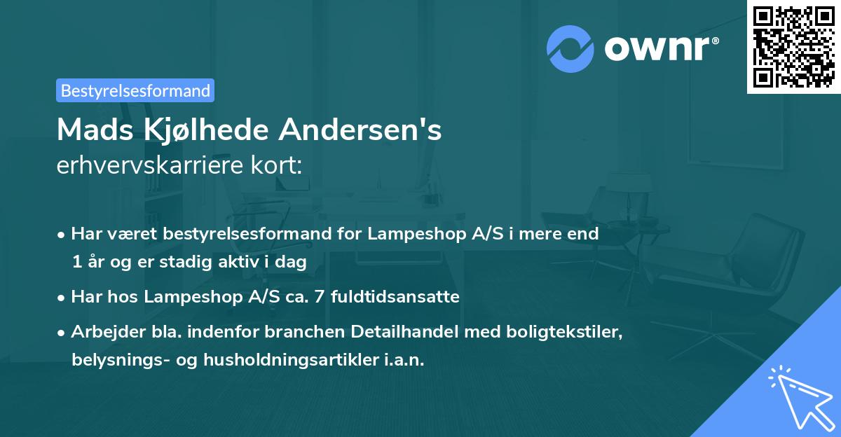 Mads Kjølhede Andersen's erhvervskarriere kort