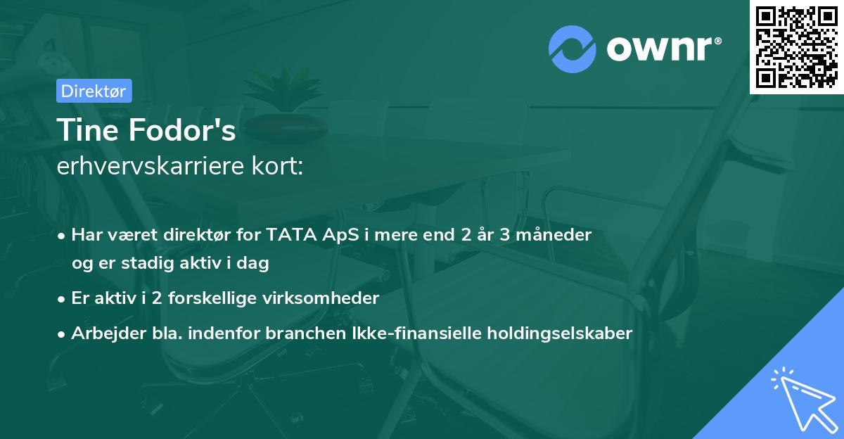Tine Fodor's erhvervskarriere kort