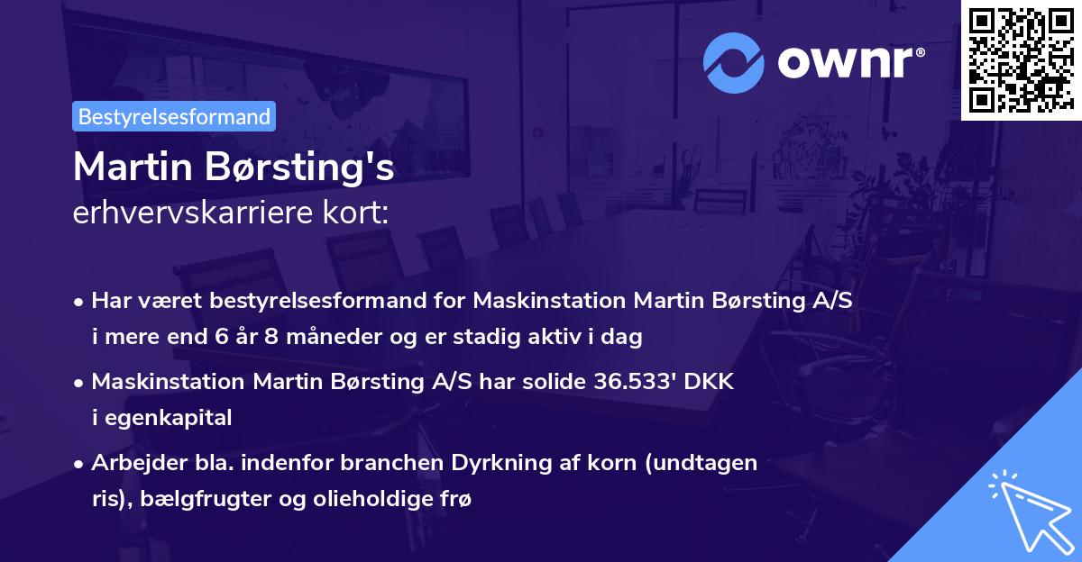 Martin Børsting's erhvervskarriere kort