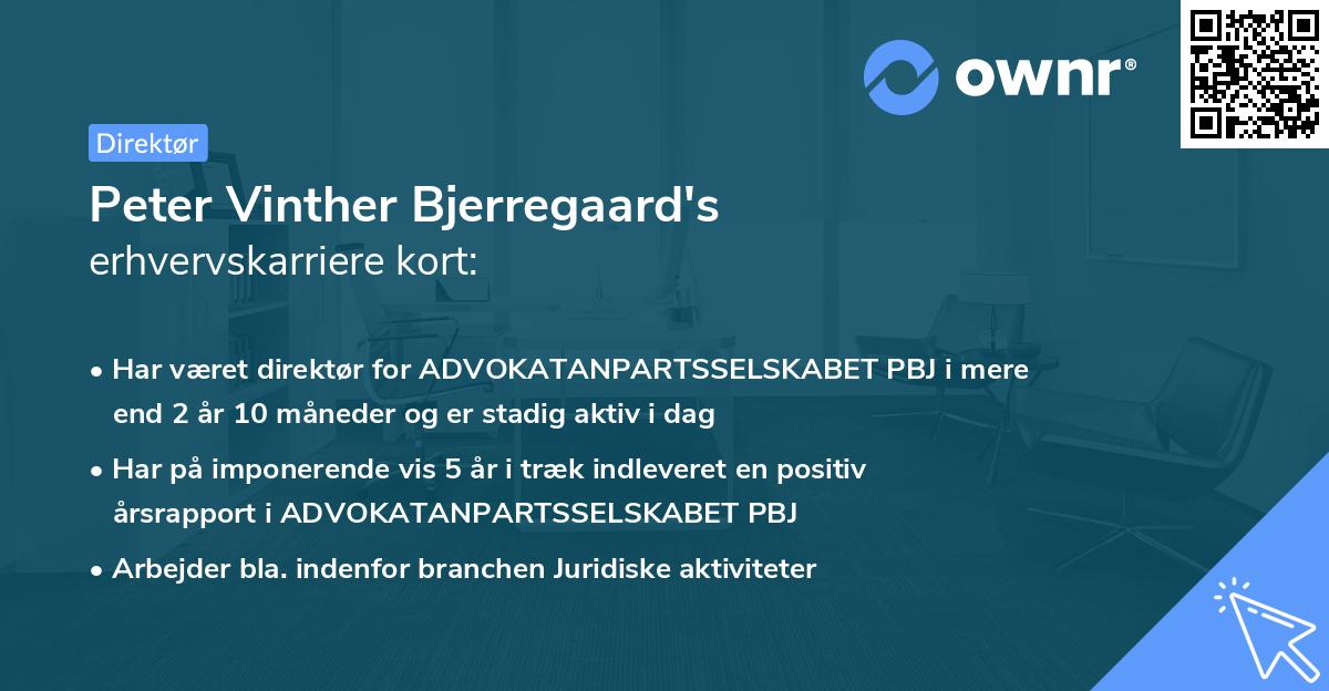 Peter Vinther Bjerregaard's erhvervskarriere kort